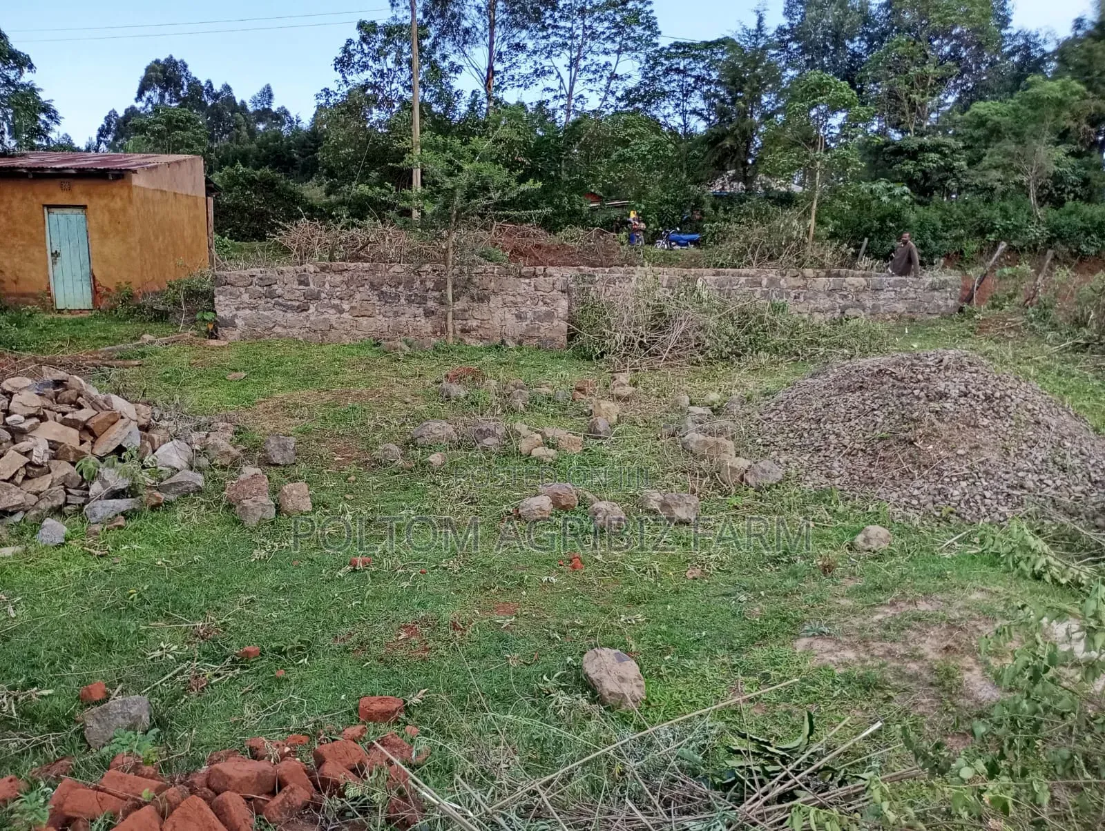 Plot for Sale 50x100
