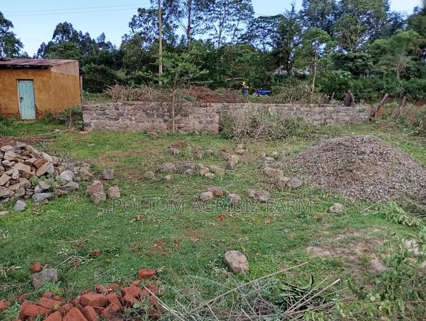 Plot for Sale 50x100 - thumbnail 2