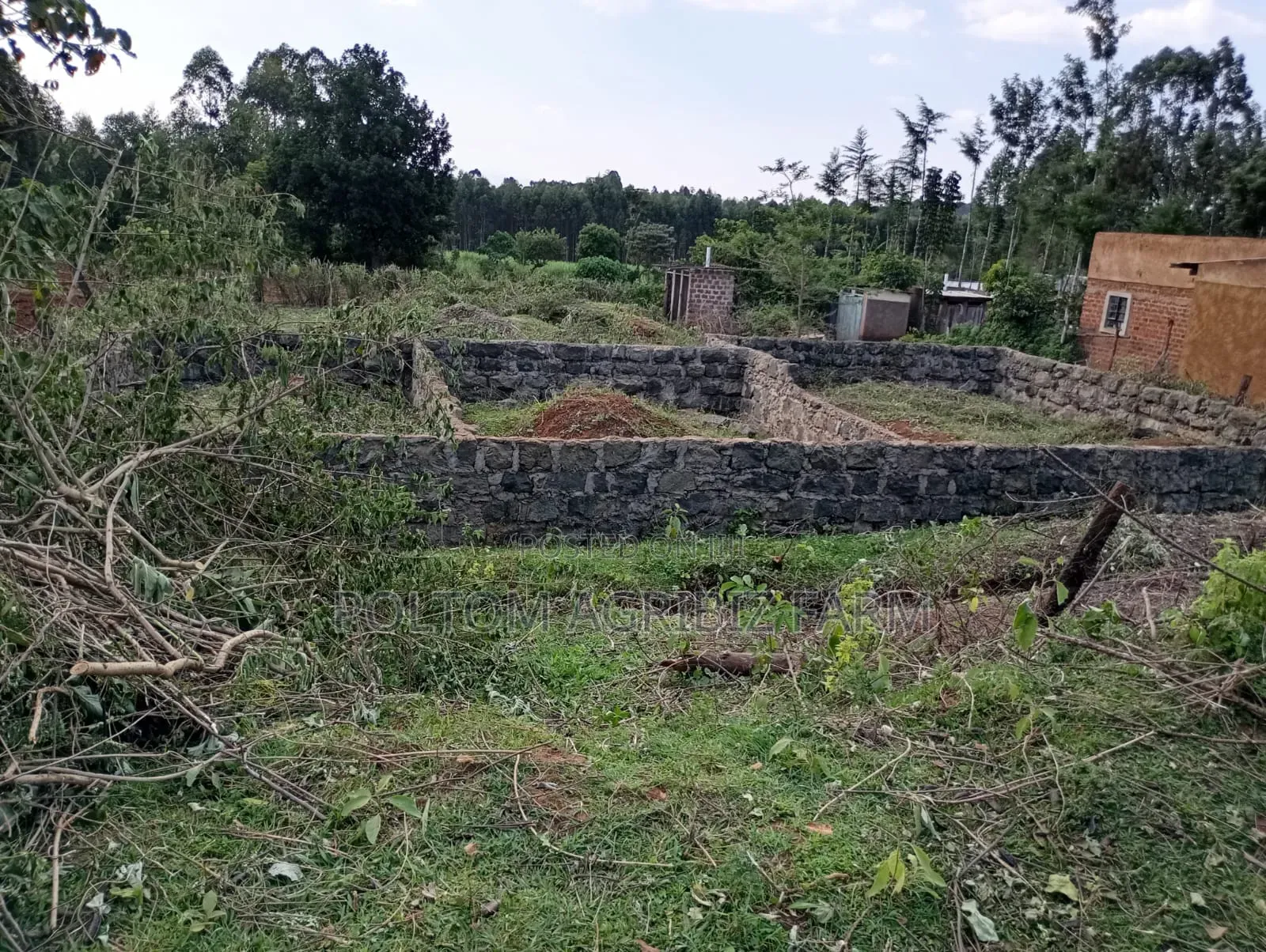 Plot for Sale 50x100