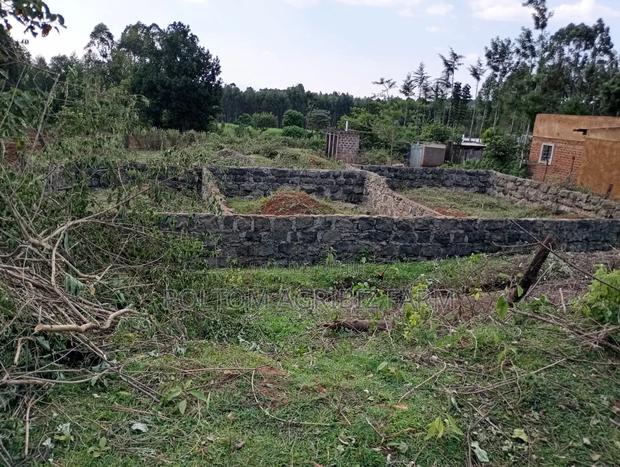 Plot for Sale 50x100 - thumbnail 3