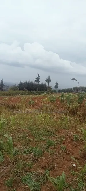 Land on Sale at Magumu Kinangop