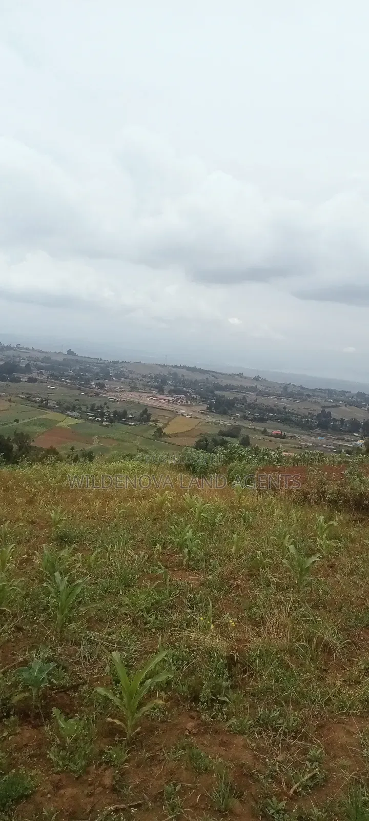 Land on Sale at Magumu Kinangop
