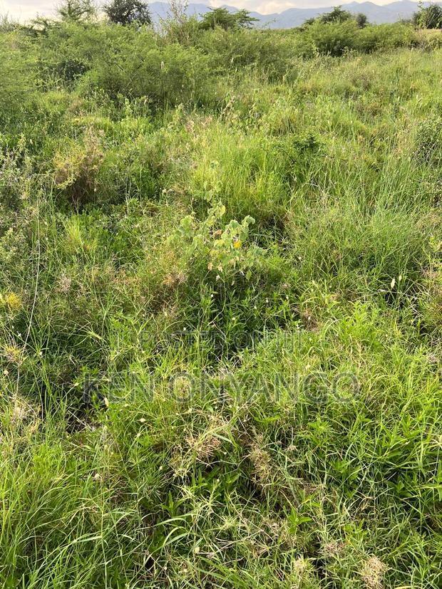 41 Acres for Sale in Kajiado / Loodariak