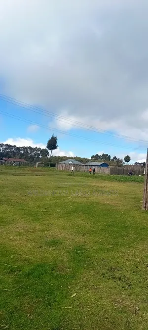 Land With a House at Magumu Kinangop