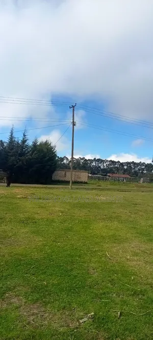 Land With a House at Magumu Kinangop