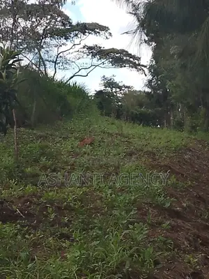 Prime Commercial Land