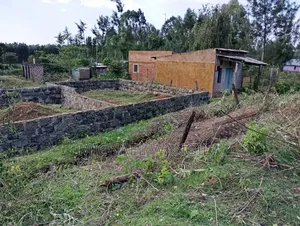 Prime Plot for Sale
