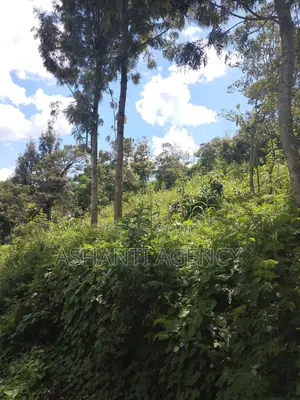 Prime Commercial Land