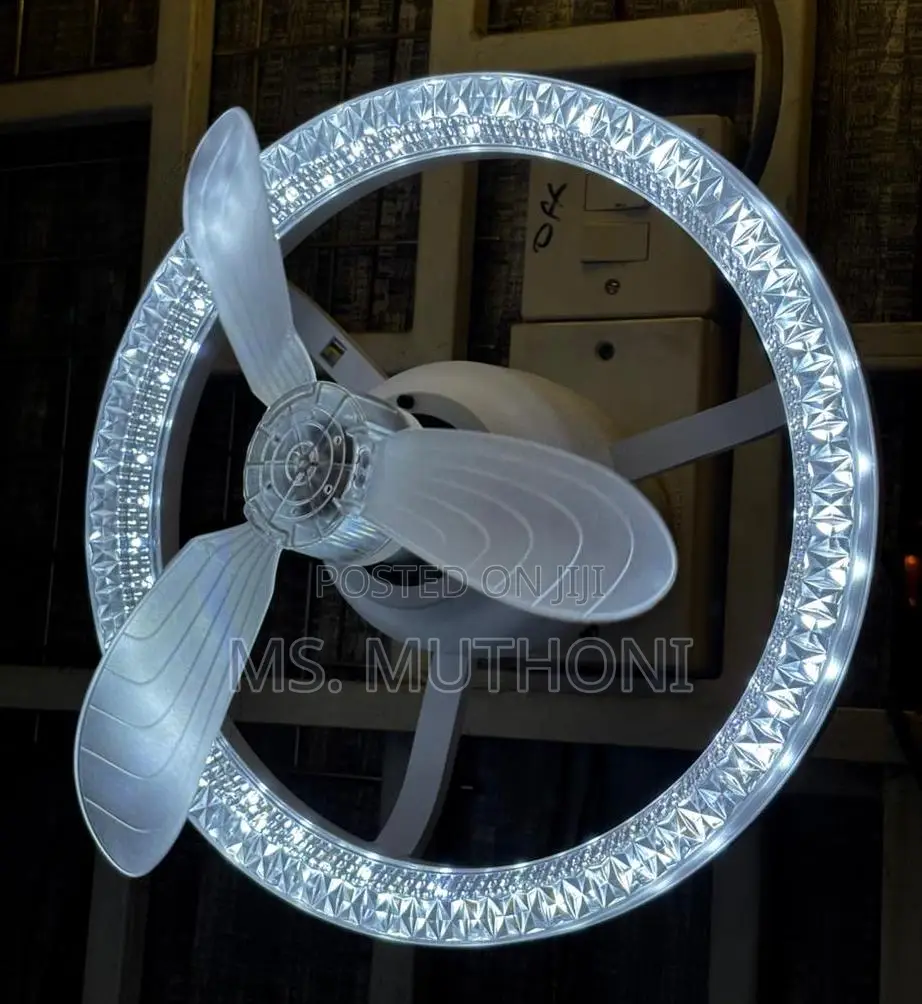 *Led Ceiling Fan Light That Combines a Fan and Lighting Fixture