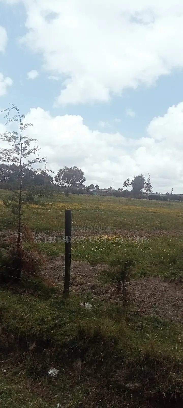 Land on Sale at Magumu Kinangop