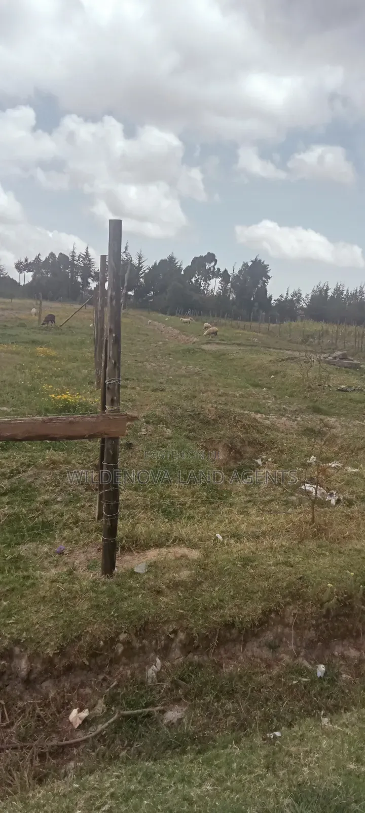 Land on Sale at Magumu Kinangop