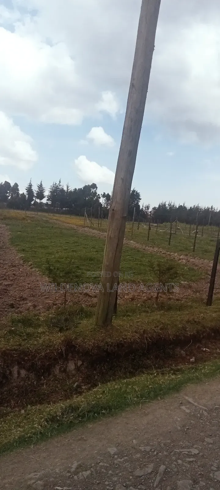 Land on Sale at Magumu Kinangop