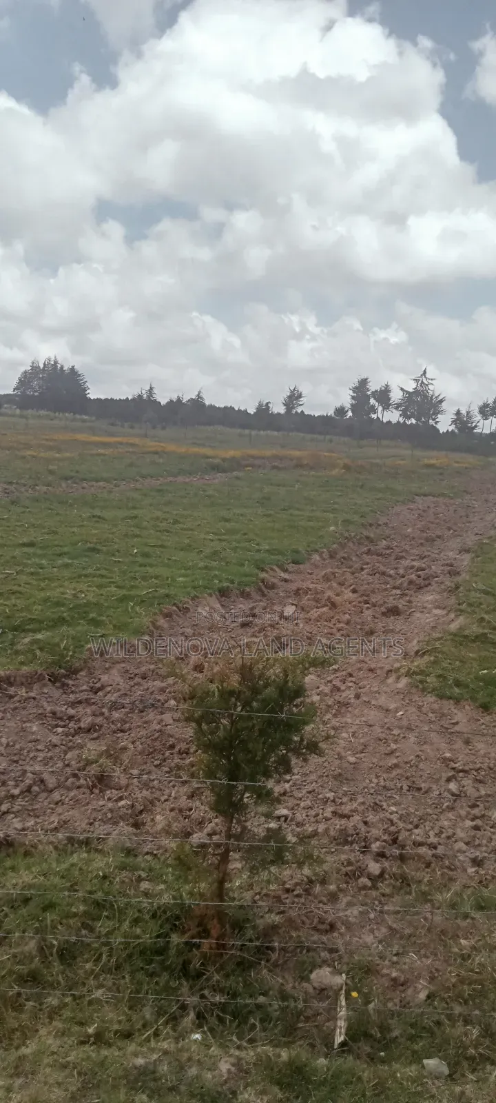 Land on Sale at Magumu Kinangop