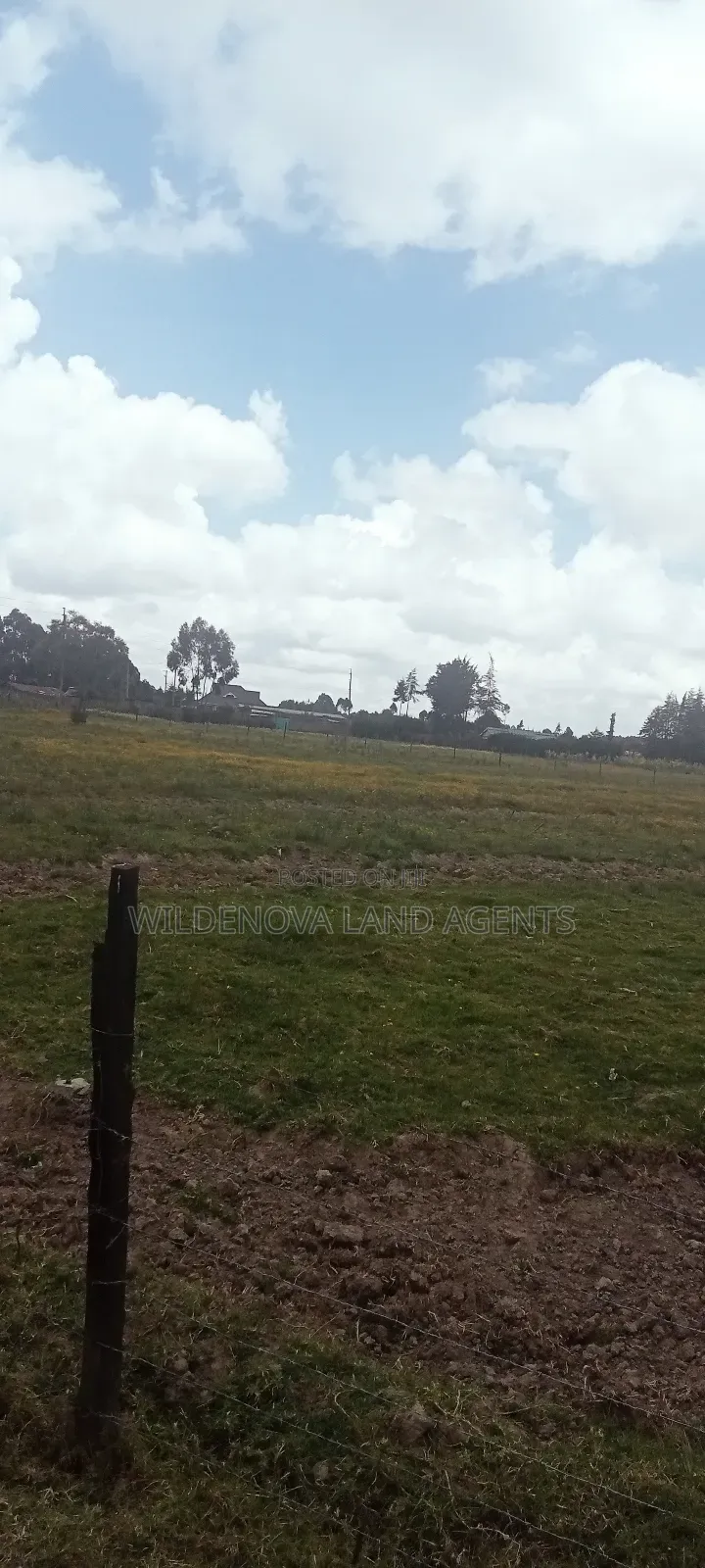 Land on Sale at Magumu Kinangop