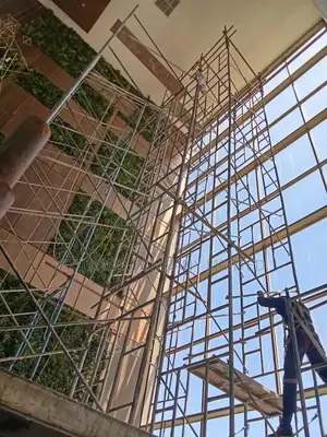 High Tower Access Ladders