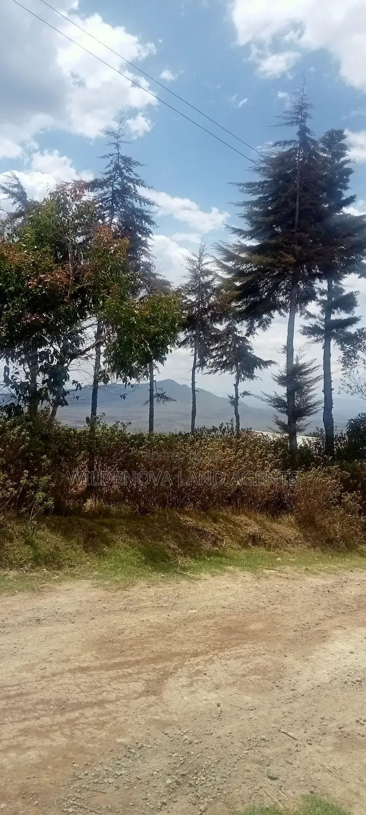 Land on Sale at Kahuho Naivasha Near Flyover