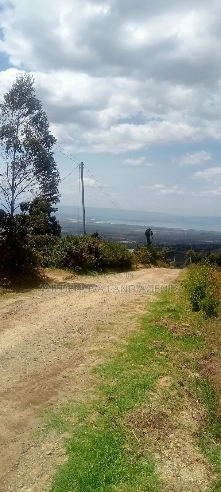 Land on Sale at Kahuho Naivasha Near Flyover