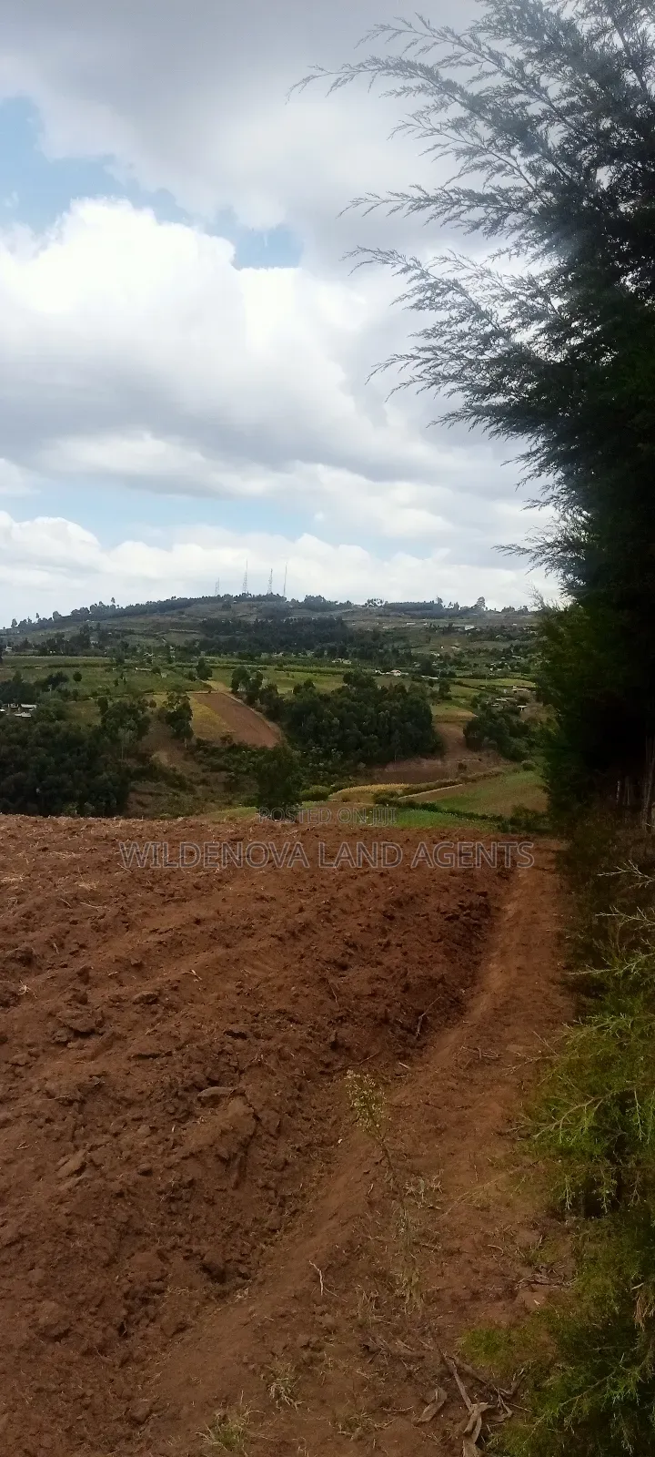 Land on Sale at Kahuho Naivasha Near Flyover