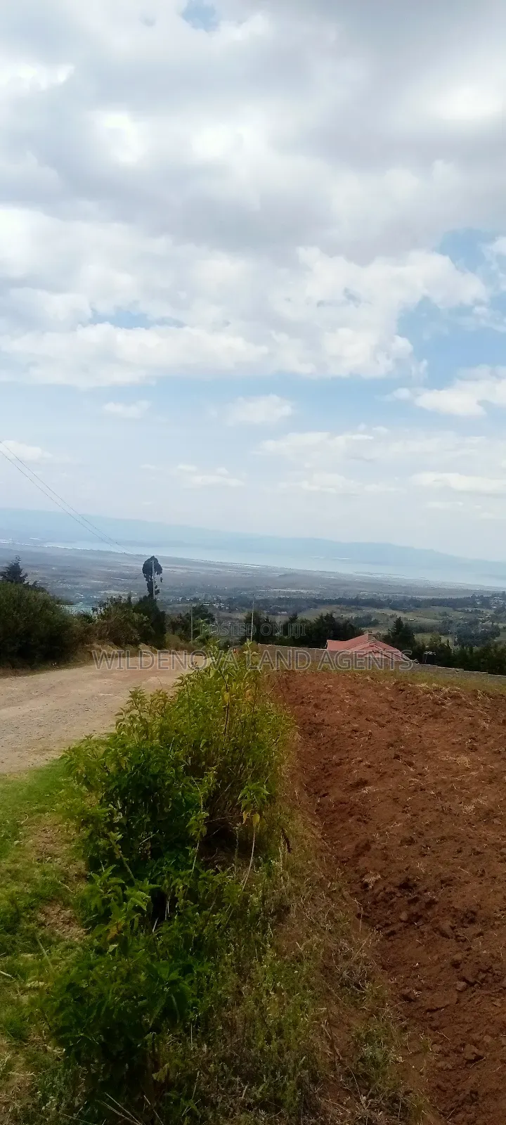 Land on Sale at Kahuho Naivasha Near Flyover