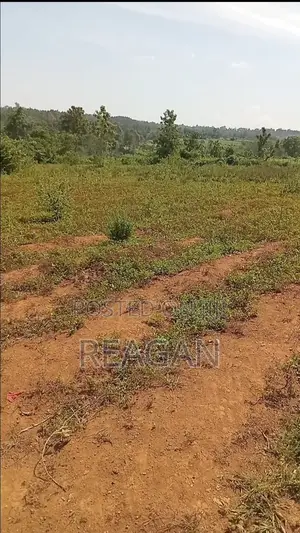 Land for Sale. Umala Karapul. Usula Primary School.