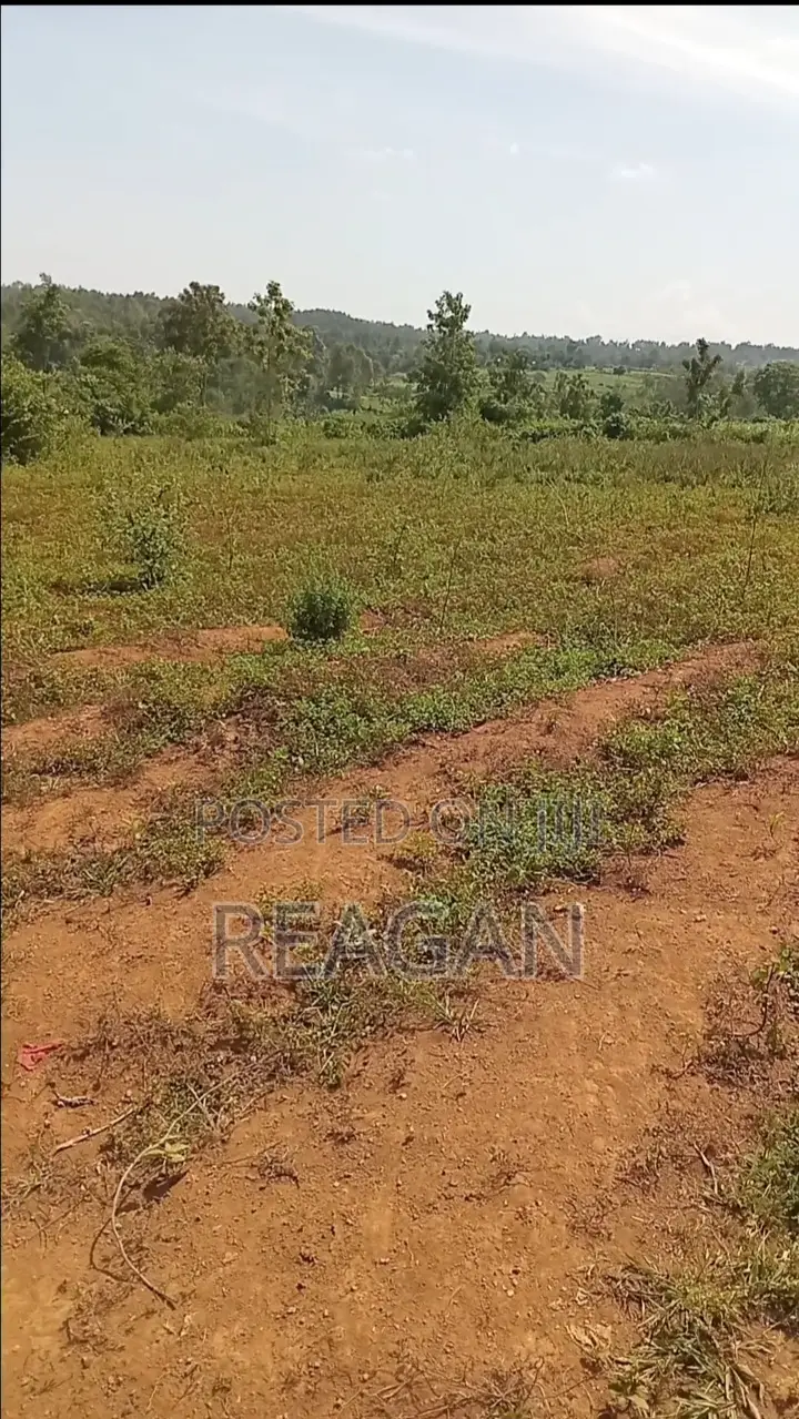 Land for Sale. Umala Karapul. Usula Primary School.