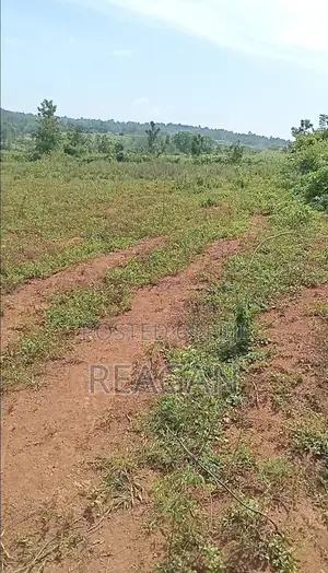 Land for Sale. Umala Karapul. Usula Primary School.
