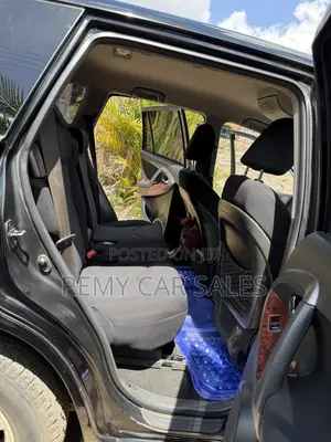 Toyota RAV4 2010 Black
