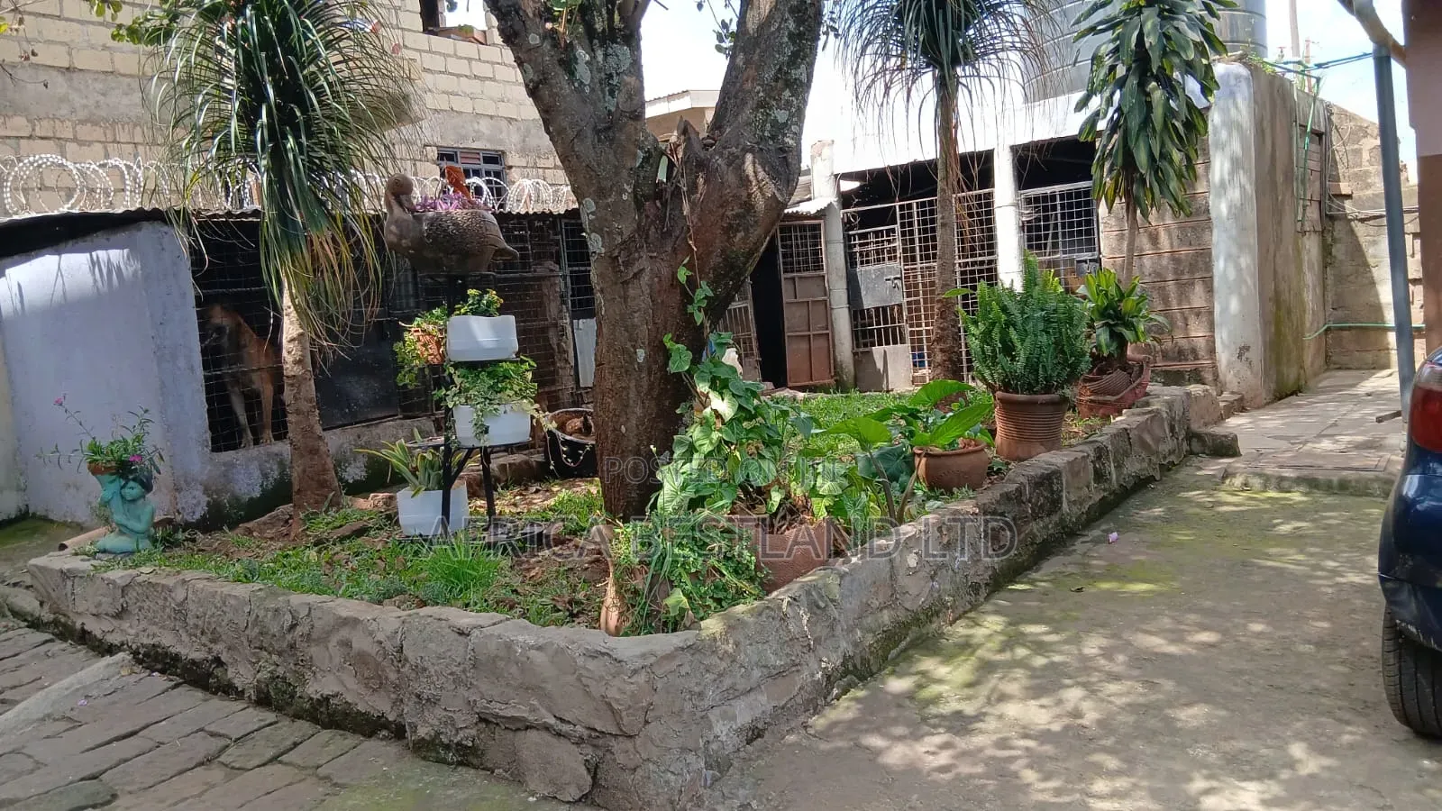 4bdrm Bungalow in Muthure, Kikuyu for rent