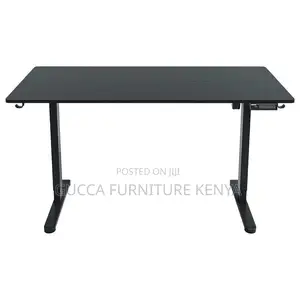 1.2m Ergonomic Computer Electric Standing Desk