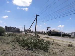 Prime Plot in Katani