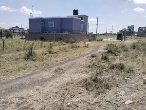 Prime Plot in Katani