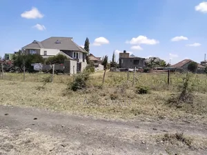 Prime Plot in Katani