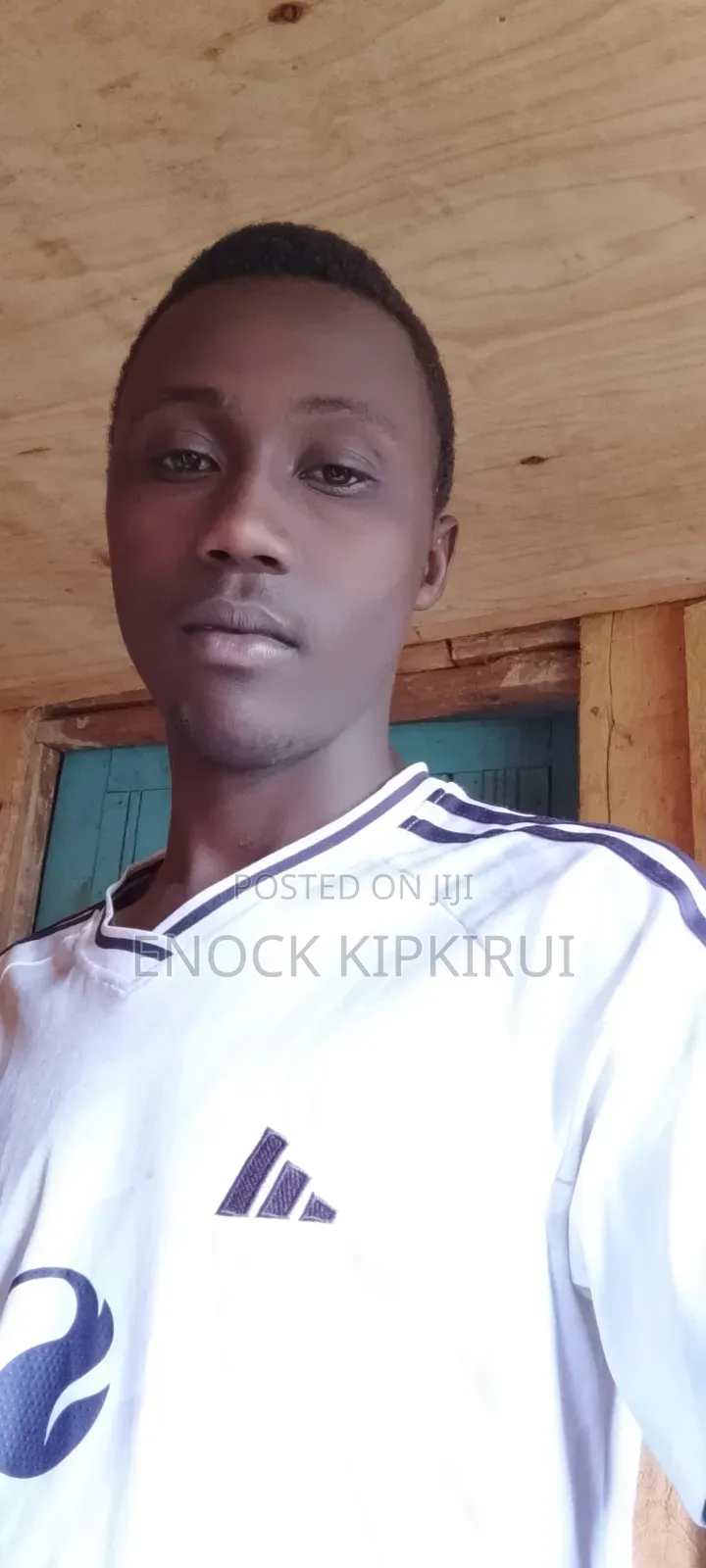 Advertising and Marketing