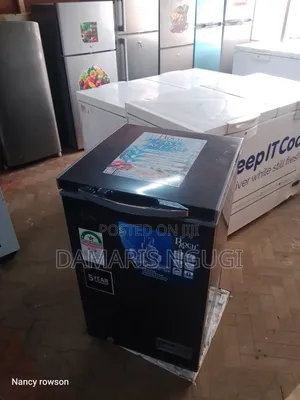 Deep Freezer ( Roch ) 100l
