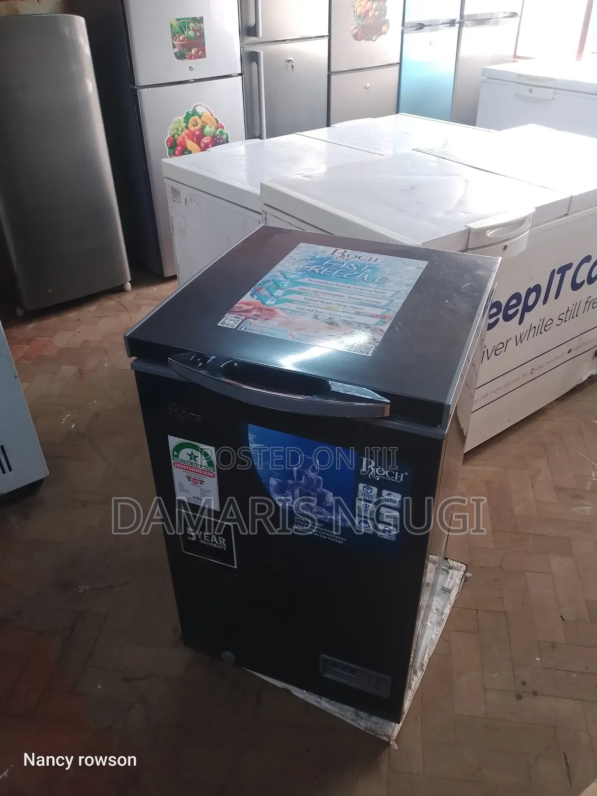Deep Freezer ( Roch ) 100l