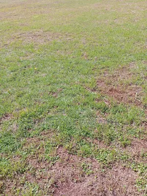 1/4 Acre Land in Naivasha Oasis