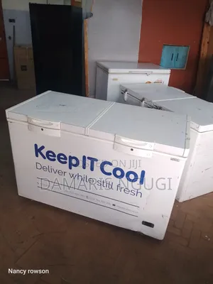 Keep It Cool Deep Freezer