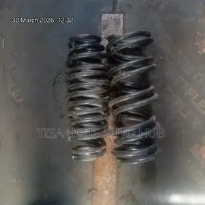 Heavy Duty Coilspring Allion