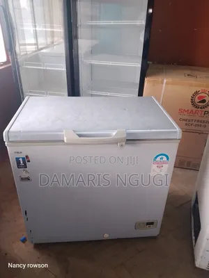 Gray Deep Freezer