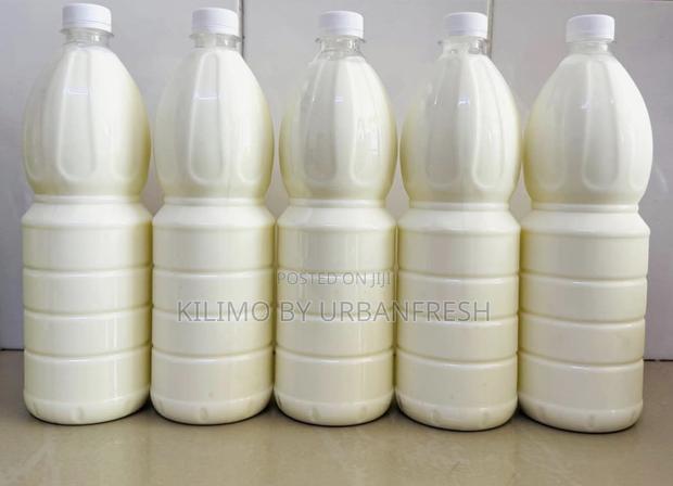 Camel Milk 5 LTRS - main view