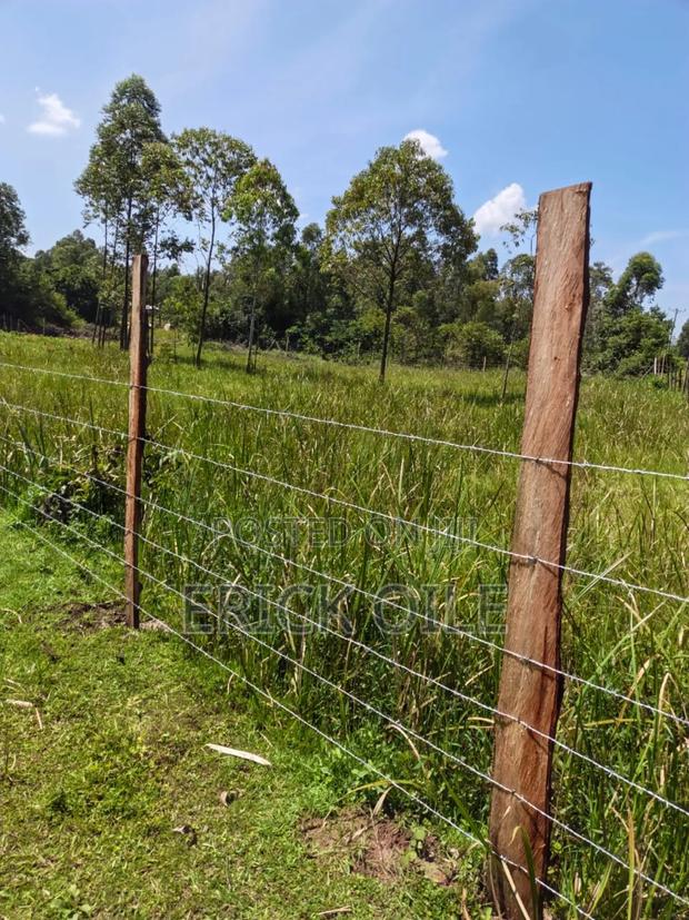 Land on Sale 1 Acre (0.35)Ha Matafari Area Rongo - thumbnail 3