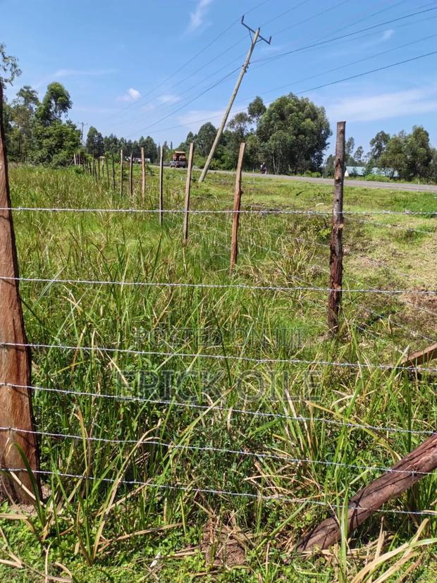 Land on Sale 1 Acre (0.35)Ha Matafari Area Rongo - thumbnail 4