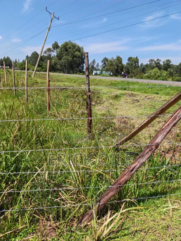 Land on Sale 1 Acre (0.35)Ha Matafari Area Rongo - thumbnail 5