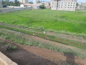 One Acre Thika Gwa Kairu Touching Tarmac