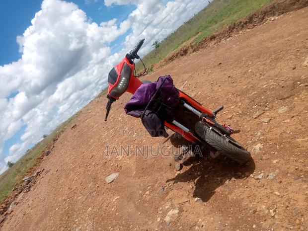 Captain CP150-10 2023 Orange - thumbnail 2