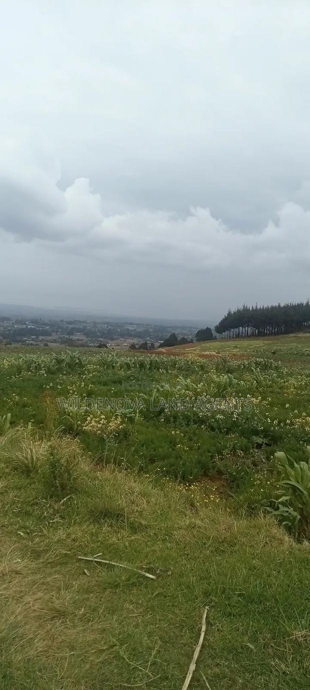 Land On Sale At Kinangop Magumu