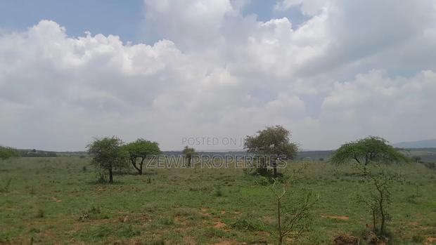 10 20 Acres Maroroi Kimuka-Ngong - thumbnail 4
