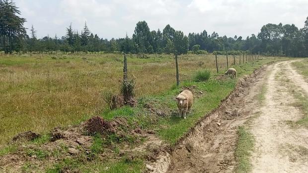 2 Acres Selling - thumbnail 4