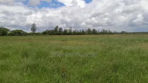 14 Acres Oloiren Kiserian