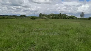 14 Acres Oloiren Kiserian